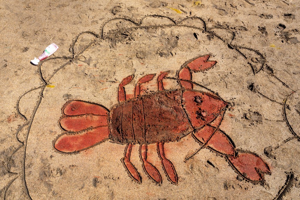 Litaskrímsli á Langasandi - Listasmiðja Angelu Snæland