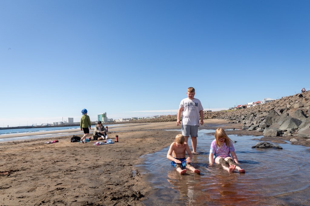 Litaskrímsli á Langasandi - Listasmiðja Angelu Snæland