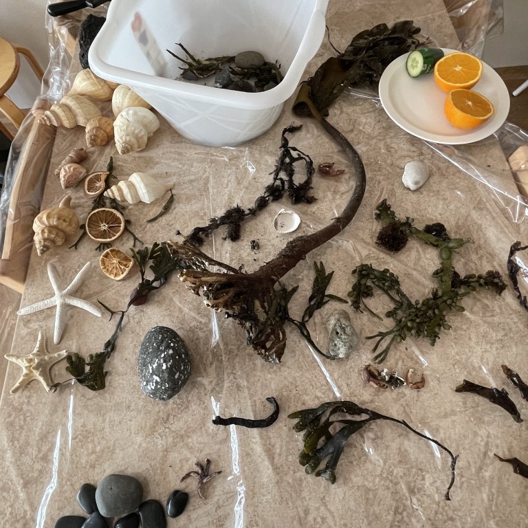 Fræðsluheimsókn Krissu og Hellu í leikskóla kaupstaðarins og Skýjaborgar.
Myndir: Helena Guttorms