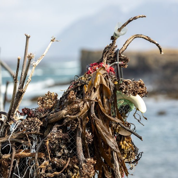 Sæskrímsla verkefni elstu barna á leikskólanum Garðaseli.
Ljósmyndir Guðni Hannesson