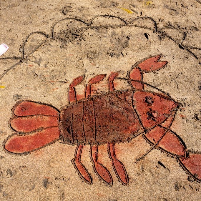 Litaskrímsli á Langasandi - Listasmiðja Angelu Snæland
Ljósmynd: Guðni Hannesson 2024