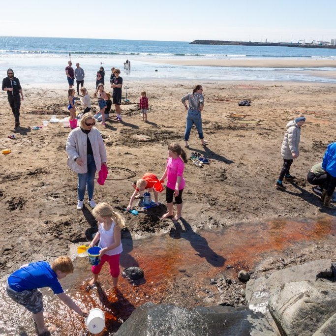 Litaskrímsli á Langasandi - Listasmiðja Angelu Snæland
Ljósmynd: Guðni Hannesson 2024