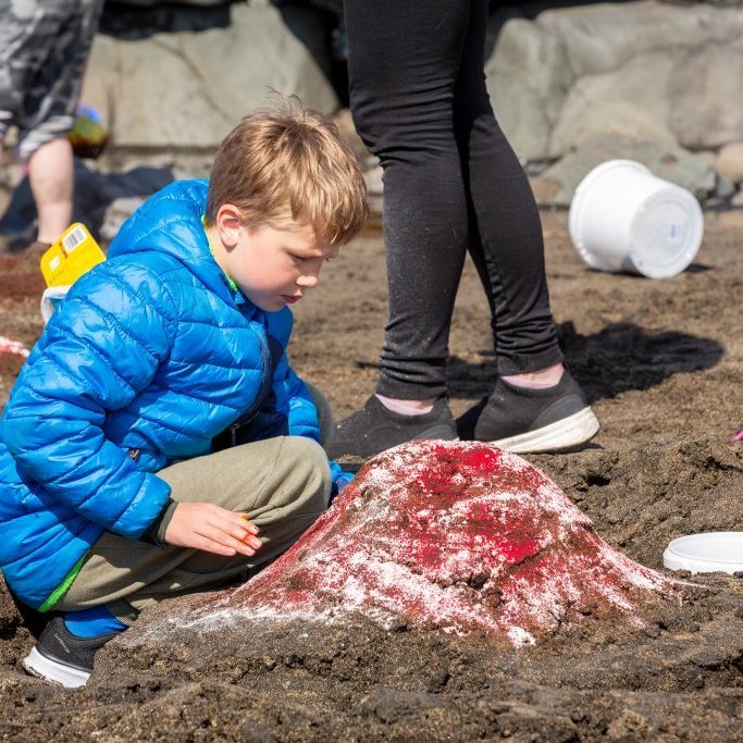 Litaskrímsli á Langasandi - Listasmiðja Angelu Snæland
Ljósmynd: Guðni Hannesson 2024