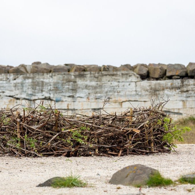 Sæskrímsla verkefni í Skarfavör - Skrímslahreiður! Listasmiðja með Tinnu Royal.
Ljósmyndir Guðni Hannesson