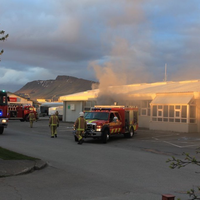 bruni-i-fjolidjunni_1