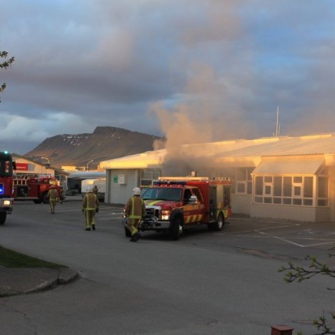 Bruni í Fjöliðjunni við Dalbraut 10