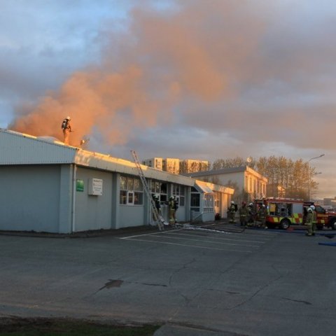 Bruni í Fjöliðjunni við Dalbraut 10
