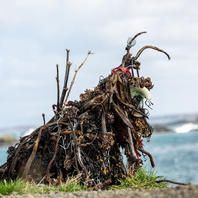 Sæskrímsli í Kalmansvík - Unnið af elstu deild leikskólans Garðaseli (2024)
Ljósmynd: Guðni Hannesson