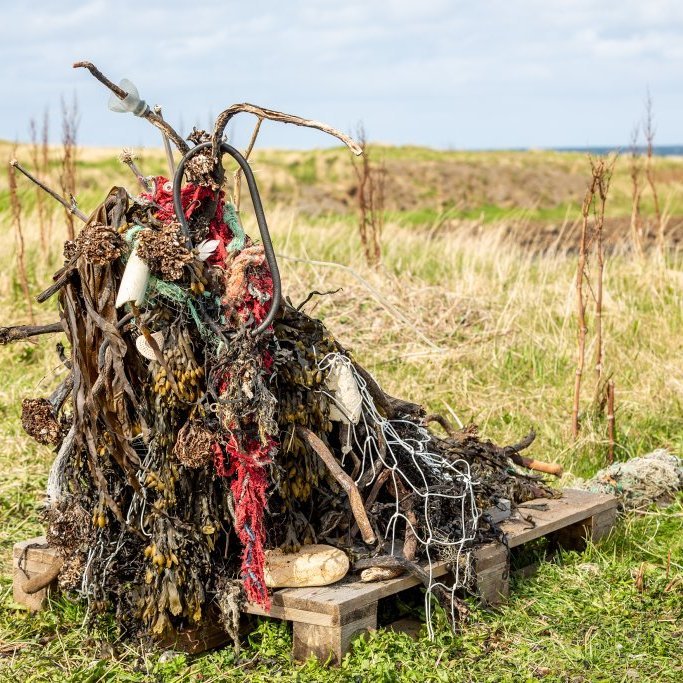 Sæskrímsli í Kalmansvík - Unnið af elstu deild leikskólans Garðaseli (2024)
Ljósmynd: Guðni Hannesson
