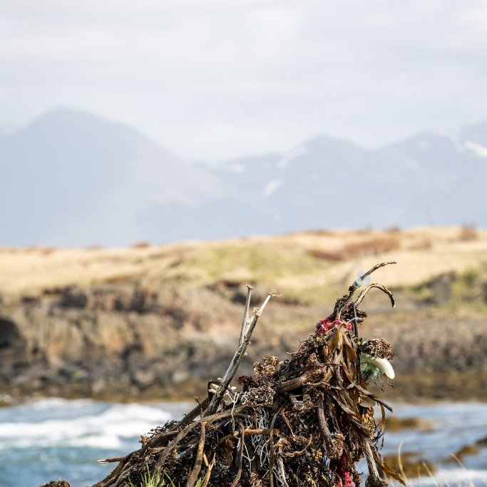 Sæskrímsli í Kalmansvík - Unnið af elstu deild leikskólans Garðaseli (2024)
Ljósmynd: Guðni Hannesson