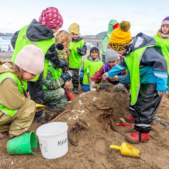 Sæskrímsli á Langasandi við Sólmundarhöfða - Unnið af elstu deild leikskólans Akraseli (2024)
Ljósmynd: Guðni Hannesson