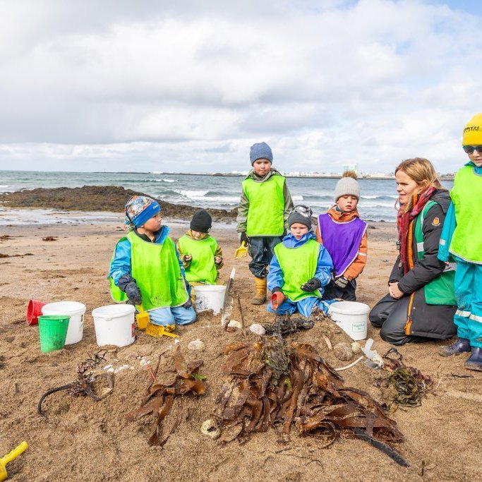 Sæskrímsli á Langasandi við Sólmundarhöfða - Unnið af elstu deild leikskólans Akraseli (2024)
Ljósmynd: Guðni Hannesson
