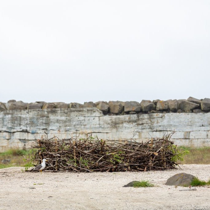 Sæskrímsli í Skarfavör - Unnið af 3.-7. bekk grunnskólanna í samvinnu við Þorpið og Tinnu Royal (2024)
Ljósmynd: Guðni Hannesson