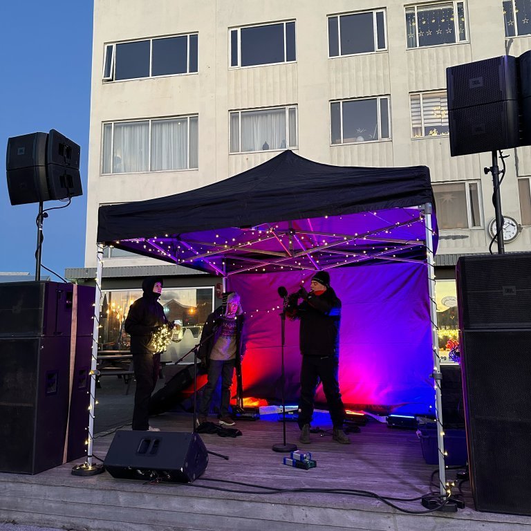 Vinir hallarinnar sáu um að svið og hljóð væri í topp standi.