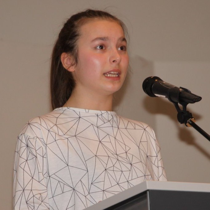 Upplesari Brekkubæjarskóla 2019