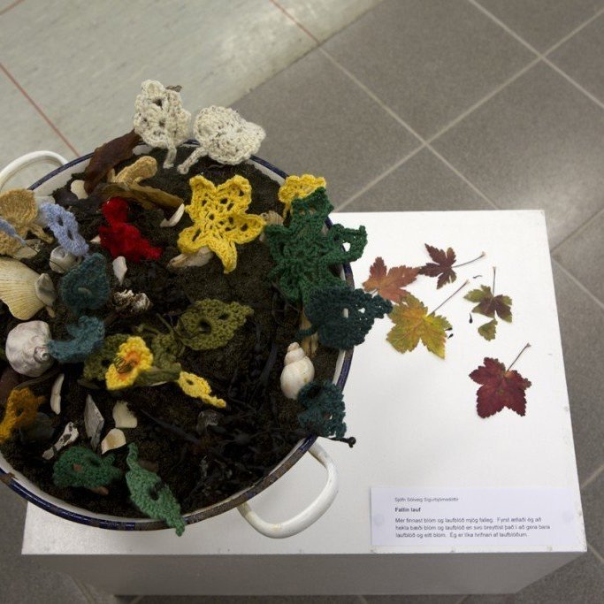 Ljósmyndarar: Guðni Hannesson og Ágústa Friðriksdóttir.