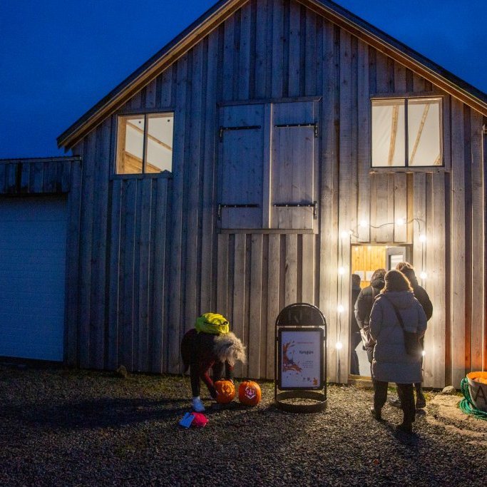 Listfélag Akraness hélt fjölbreytta og skemmtilega samsýningu ,,Hringiða