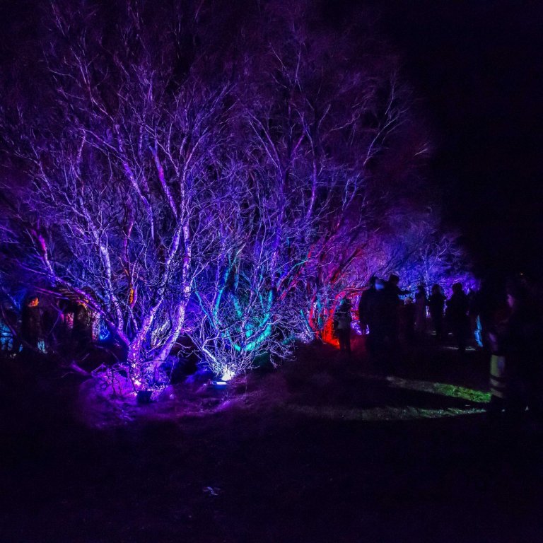 Ljósin hans Gutta. Ljósmynd: Jónas Ottósson.