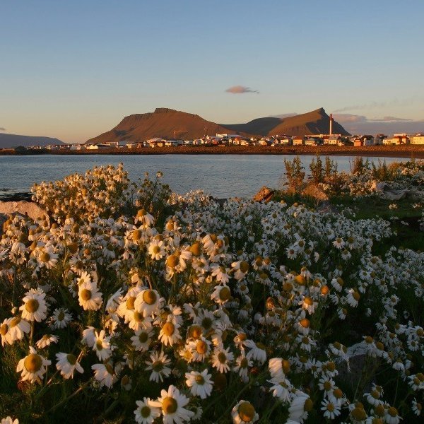 Laus staða á Sambýlinu að Laugarbraut