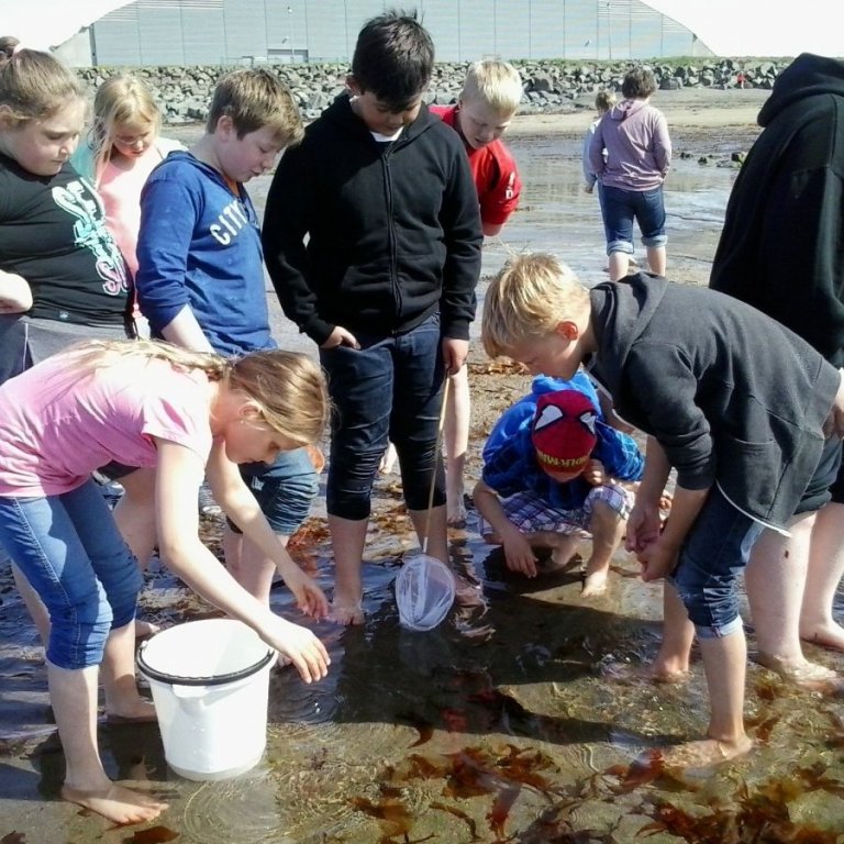Skólasetning í grunnskólum Akraneskaupstaðar