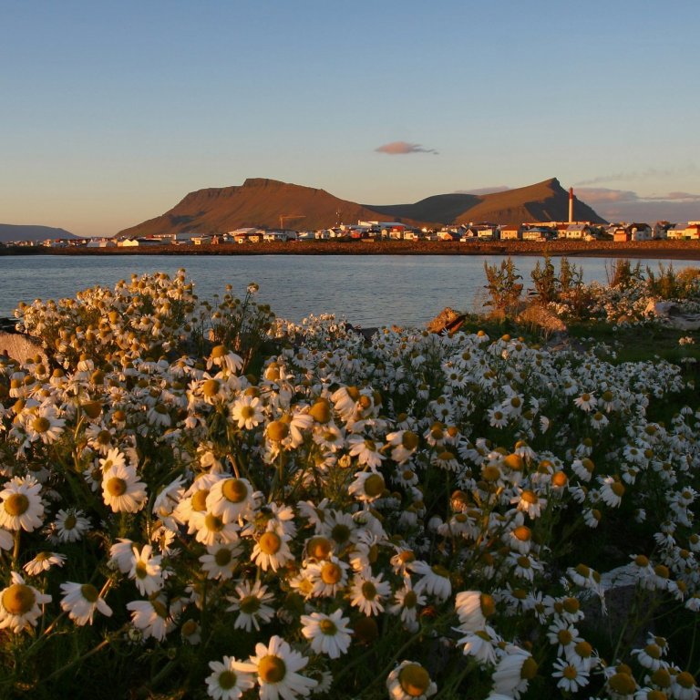 Húsnæðismál eldri borgara á Akranesi