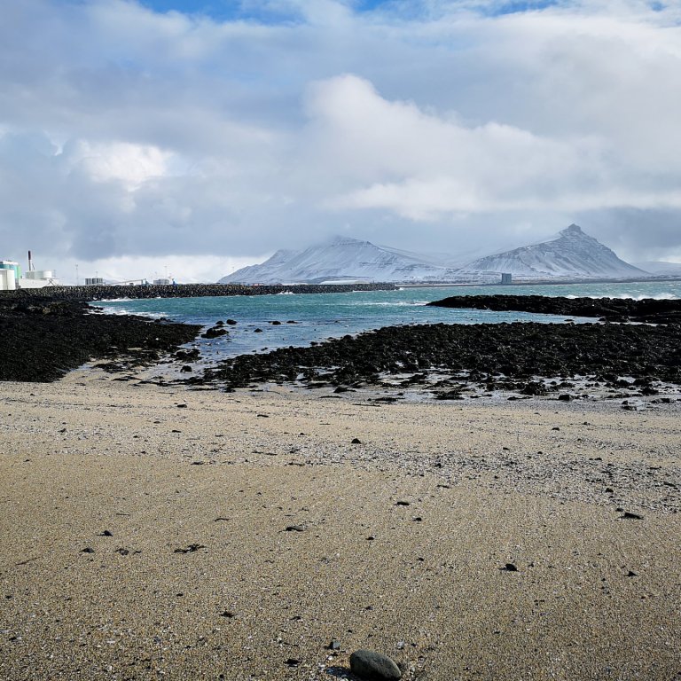 Bakvarðasveit í velferðarþjónustu