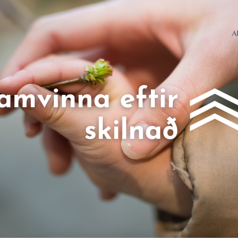 Samvinna eftir skilnað – SES