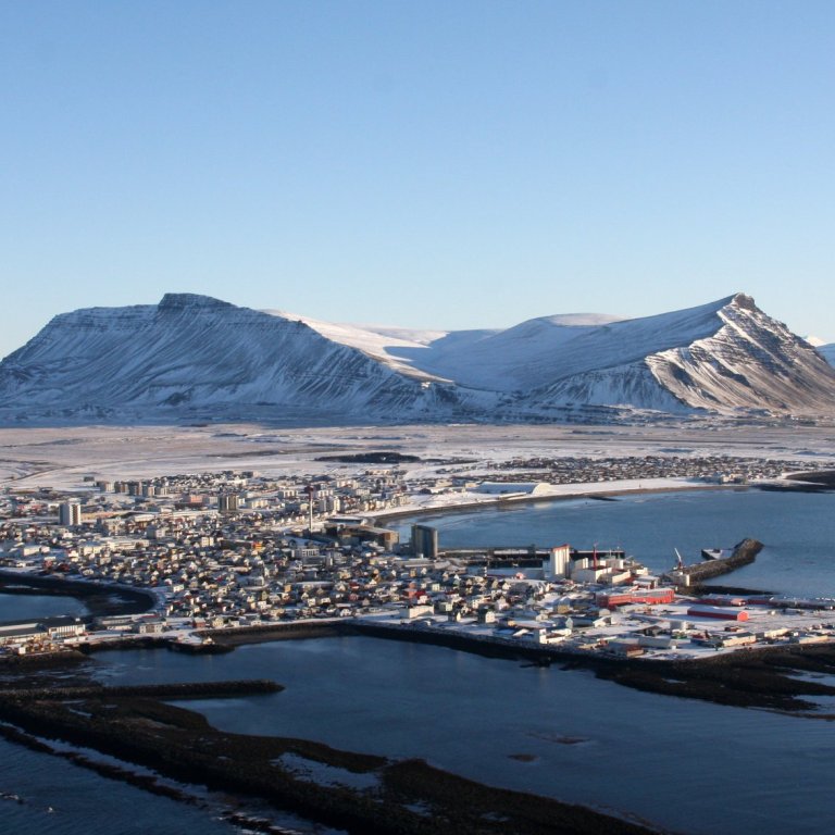 Hirðing jólatrjáa 9.-10. janúar