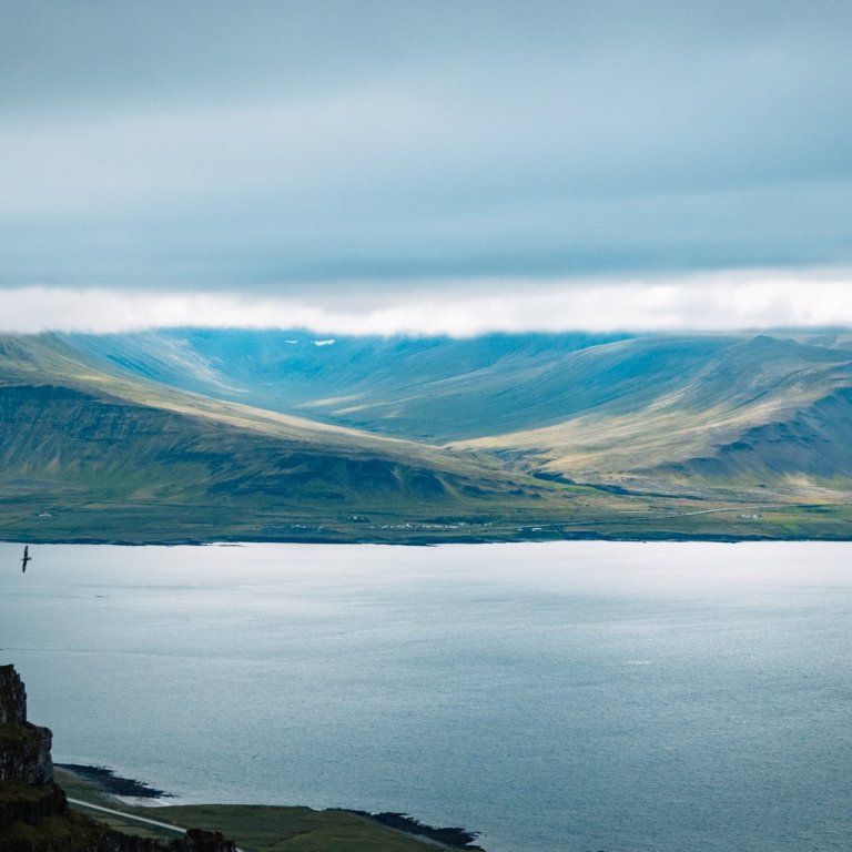 Leyfi til hvalveiða - yfirlýsing bæjarráðs Akraness