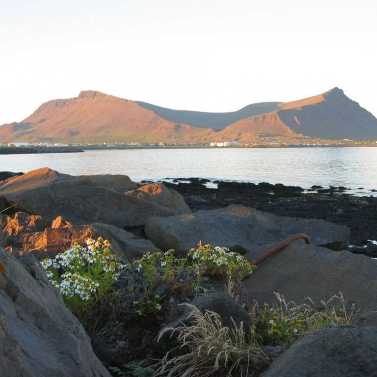 Lokað í Fjöliðjunni og Búkollu