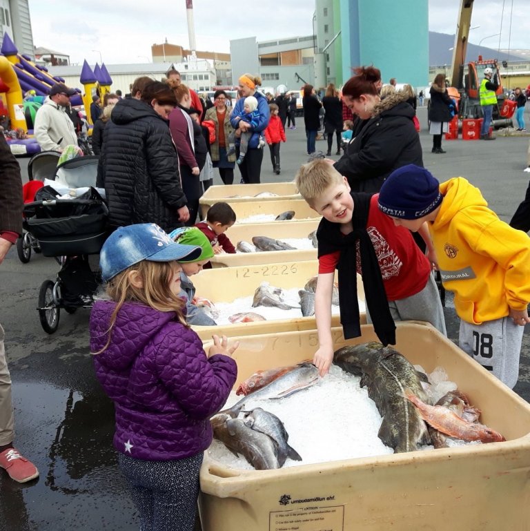 Unga kynslóðin skoðar ýmsar fisktegundir af áhuga