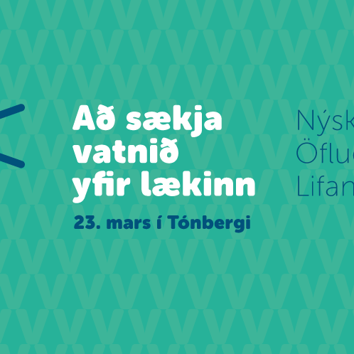 Dagskrá ráðstefnunar