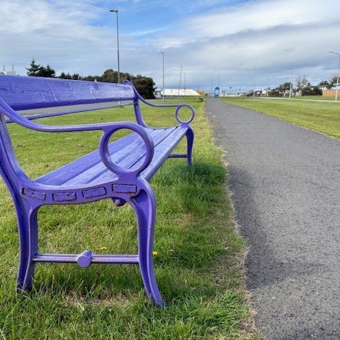 Fjólublár bekkur við Höfða vekur athygli