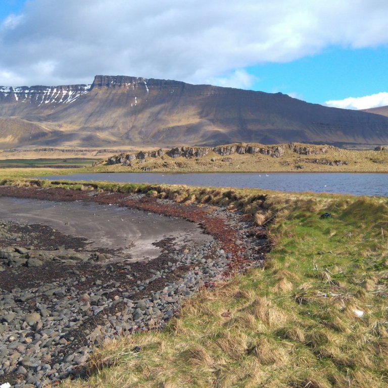 Bæjarstjórnarfundur 8. maí