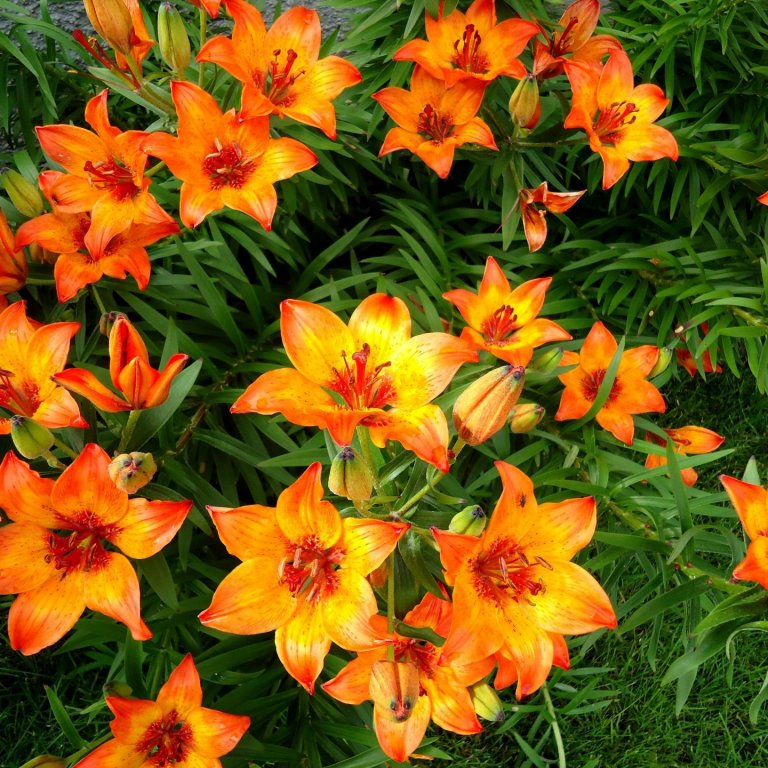 Páskaopnun Akraneskaupstaðar