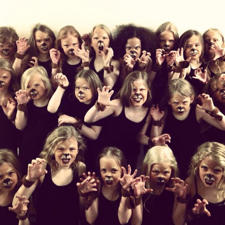 Fimleikafélag Akraness.