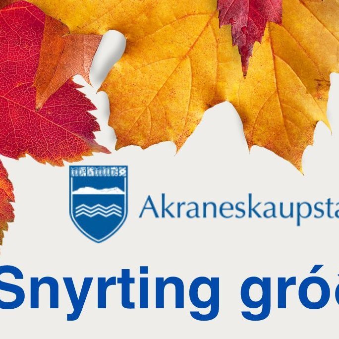 Snyrting gróðurs á lóðamörkum