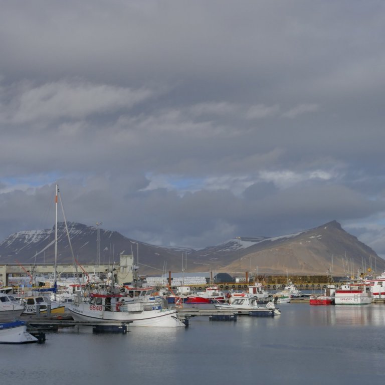 Ákvörðun um flóasiglingar frestast