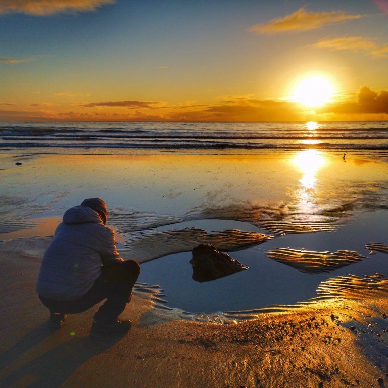 Samstarf við veitingahús bæjarins um heimsendingu matar