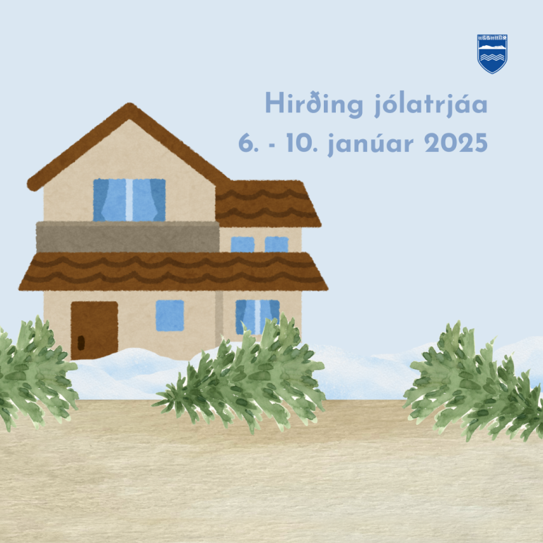Hirðing jólatrjáa 6.-10. janúar 2025
