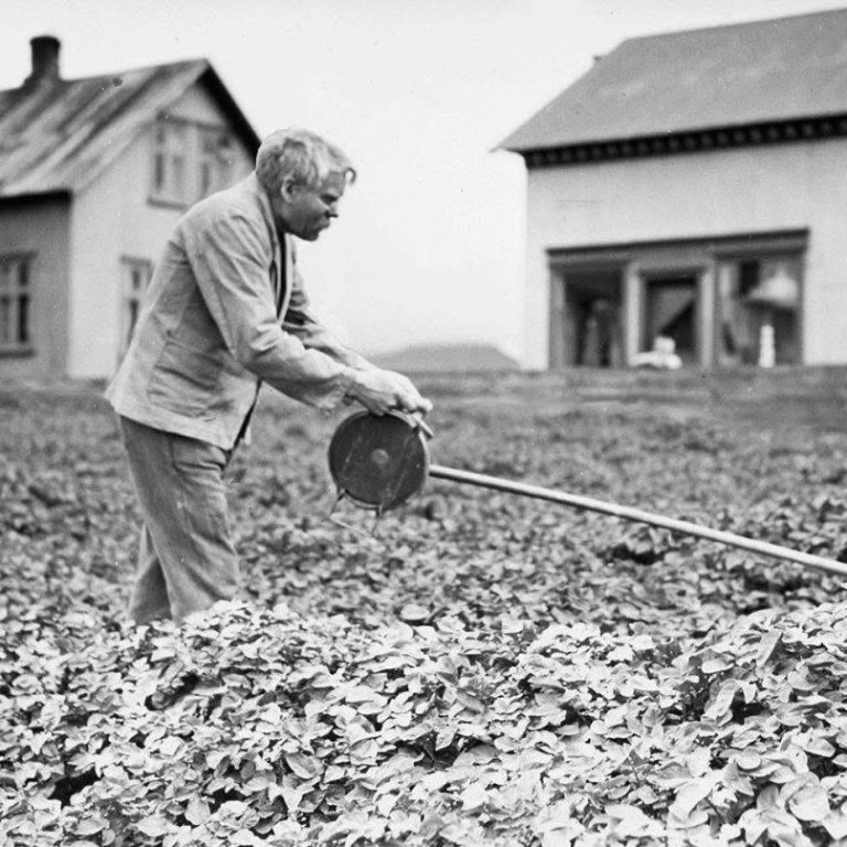 Byggðasafnið býður til kartöfluhátíðar