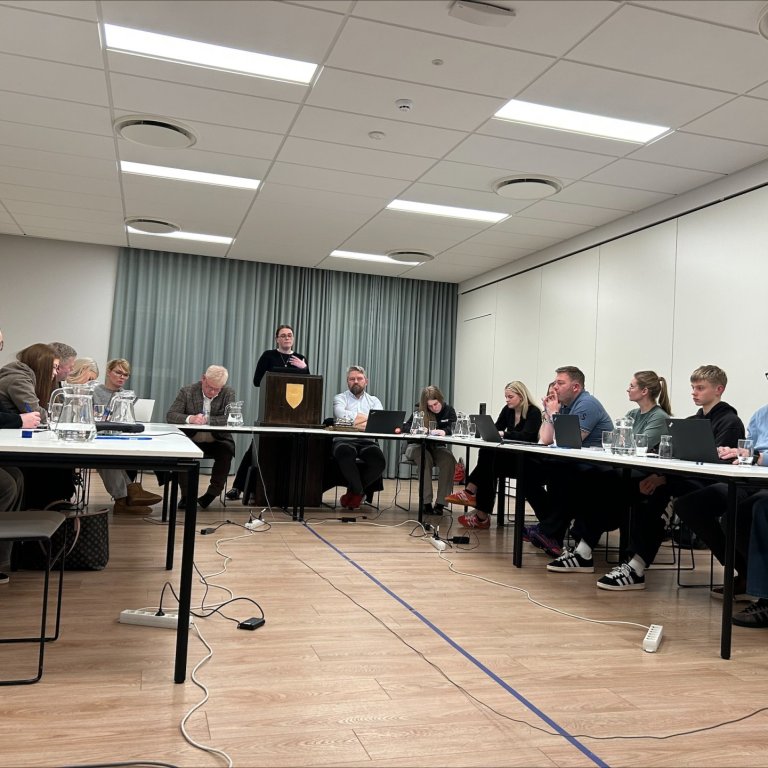 Bæjarstjórnafundur unga fólksins