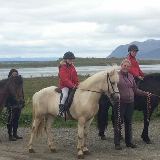 Reiðnámskeið sumar 2018