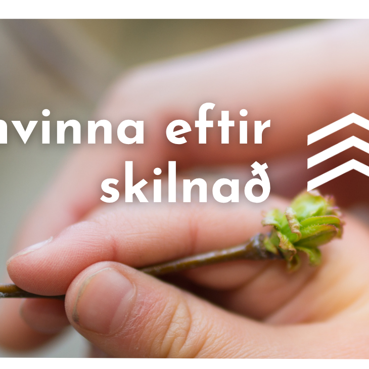 Námskeið fyrir foreldra barna sem búa á tveimur heimilum