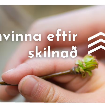 Samvinna eftir skilnað - SES barnana vegna