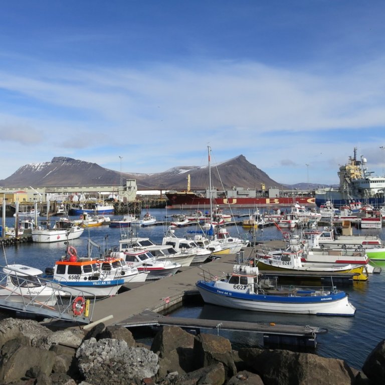 Bókun bæjarráðs um stöðvun grásleppuveiða