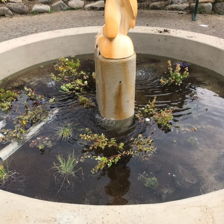 Skemmdarverk í Skrúðgarði