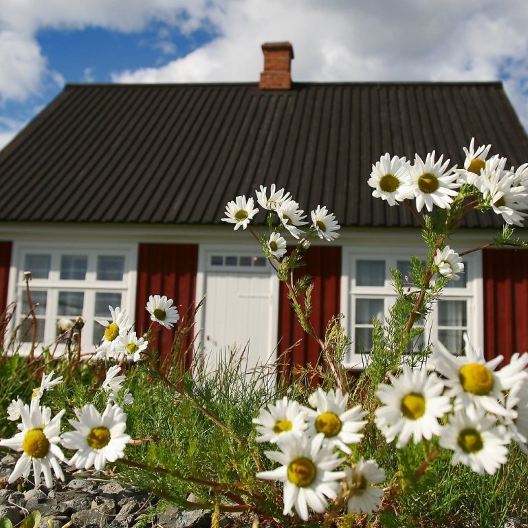 Bæjarstjórnarfundur 23. maí