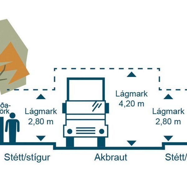 Snyrting gróðurs á lóðarmörkum