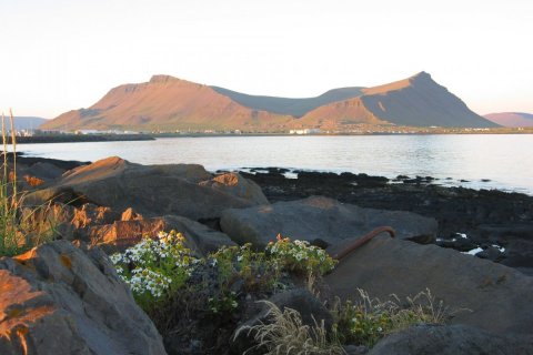 Jákvæð rekstrarniðurstaða Akraneskaupstaðar